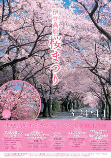18izukogen-sakuramatsuri-1.jpg