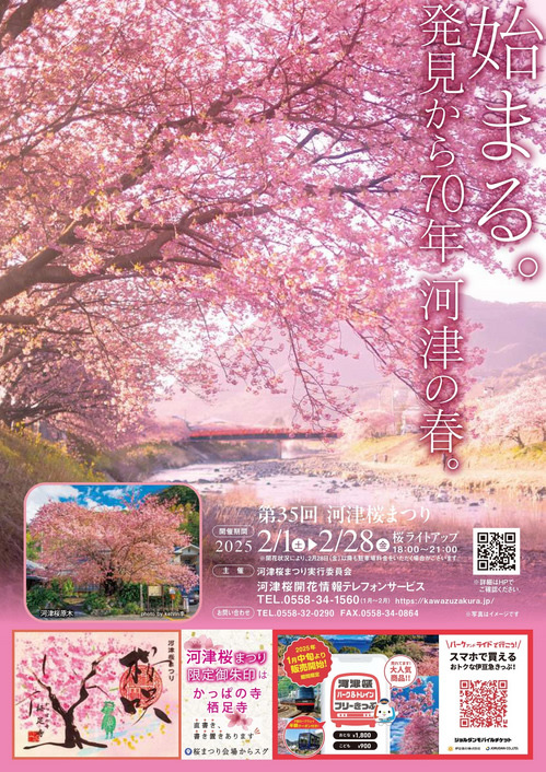 sakura.jpg
