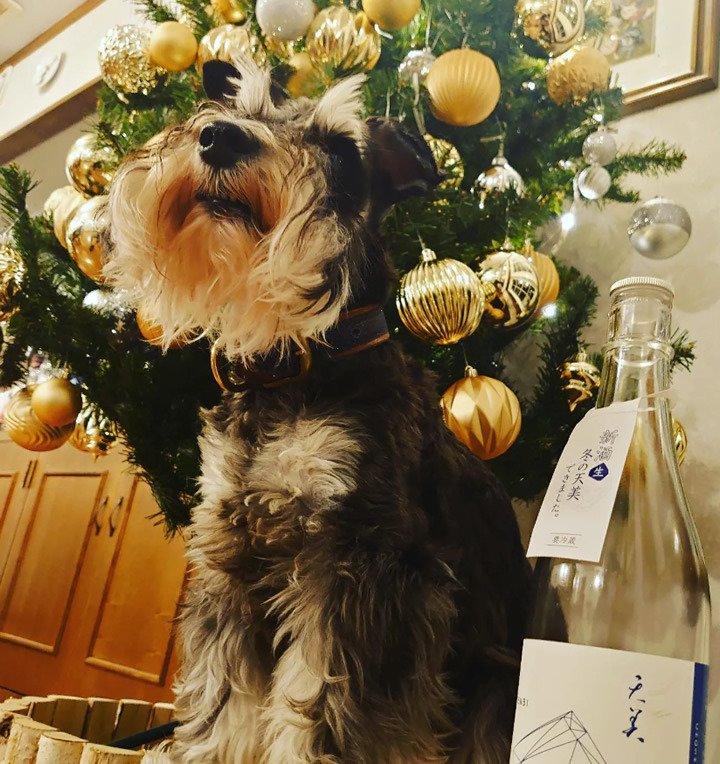 xmas.jpg