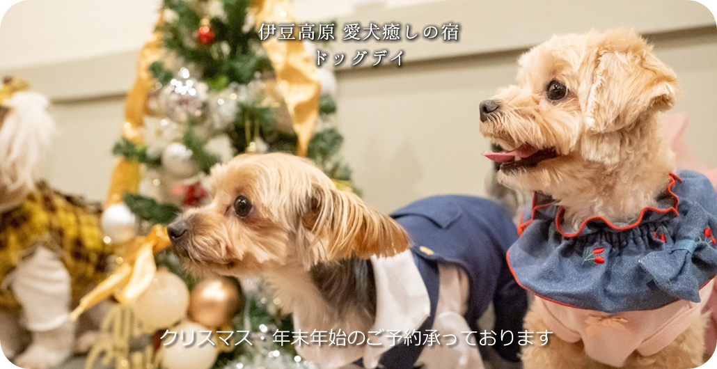 愛犬癒しの宿ドッグデイ:メインビジュアル